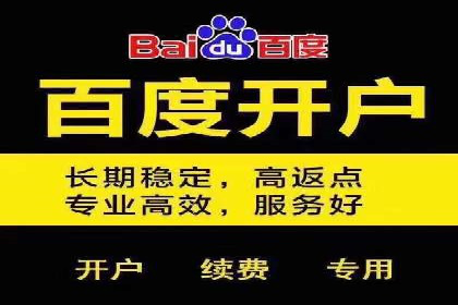百度竞价代理的投放技巧与效果评估案例
